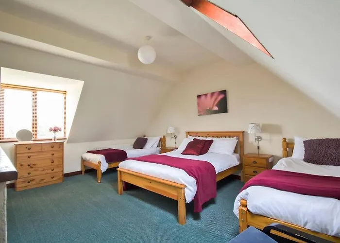 Charlie\'S Cottage With Alpacas And 7Mins Drive To Alton Towers