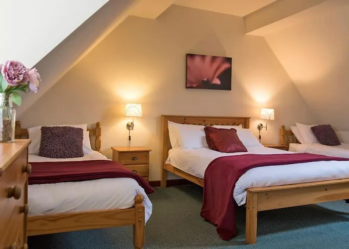 Charlie\'S Cottage With Alpacas And 7Mins Drive To Alton Towers